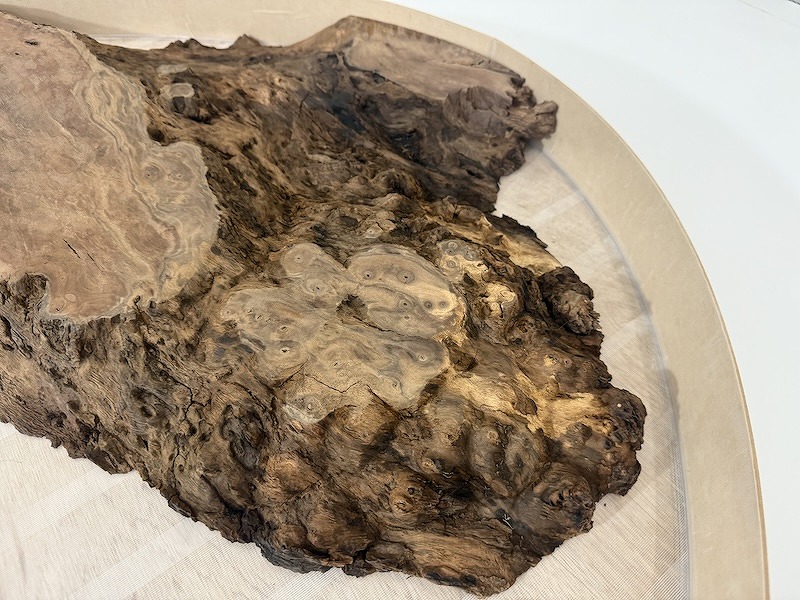 クラロウォールナット　楕円レジンテーブル