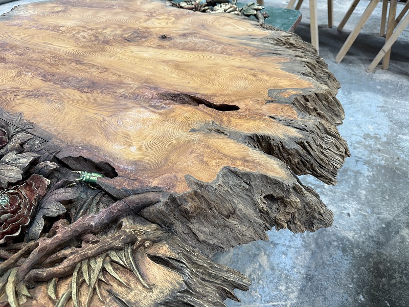 屋久杉の美しい耳