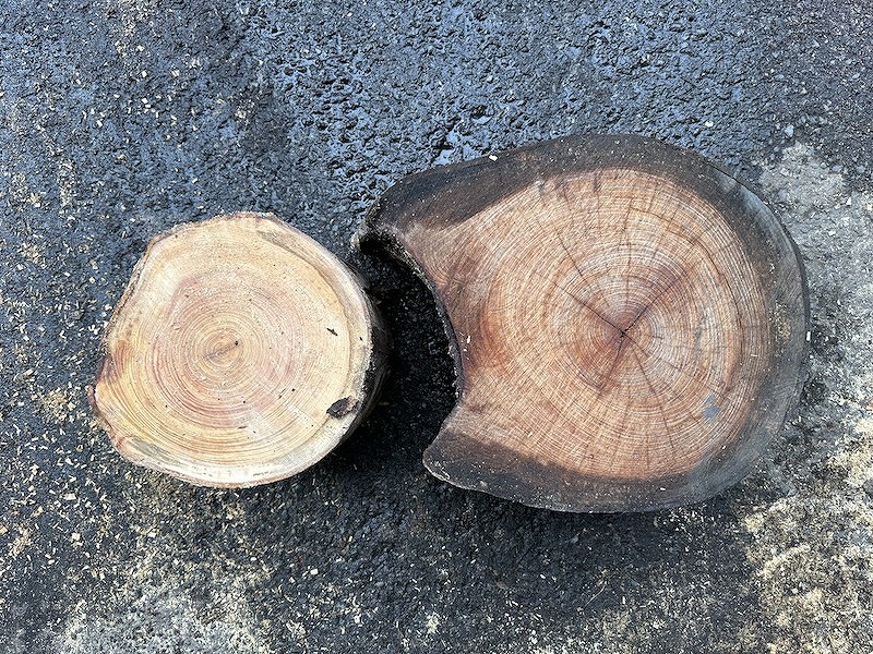 レジンテーブル　欅輪切