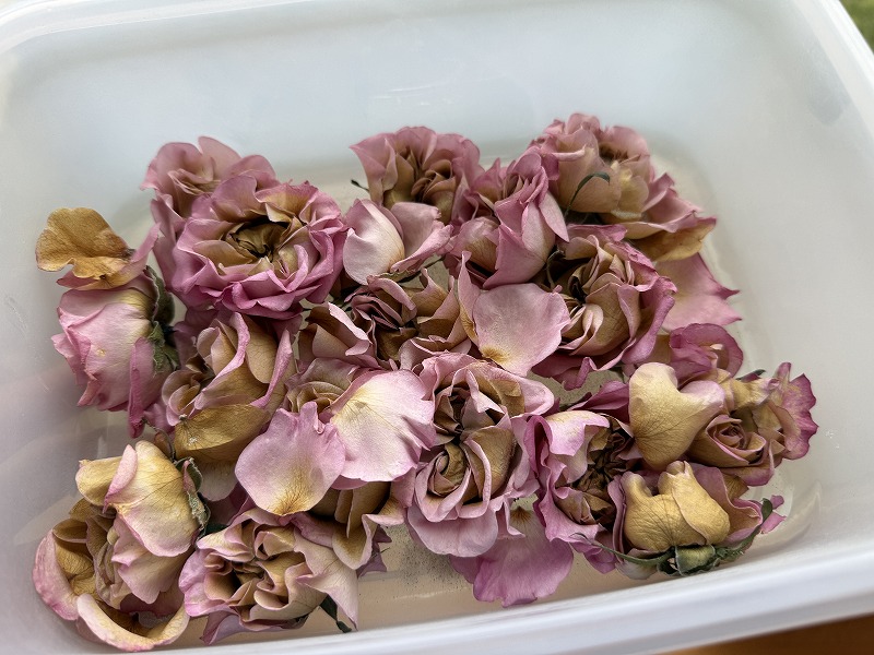 ドライフラワーの失敗