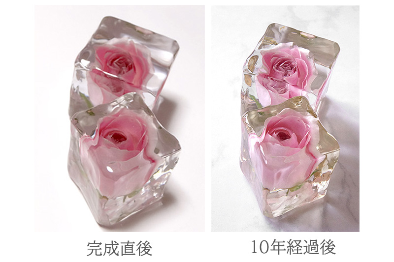 ドライフラワーの10年後の経年変化