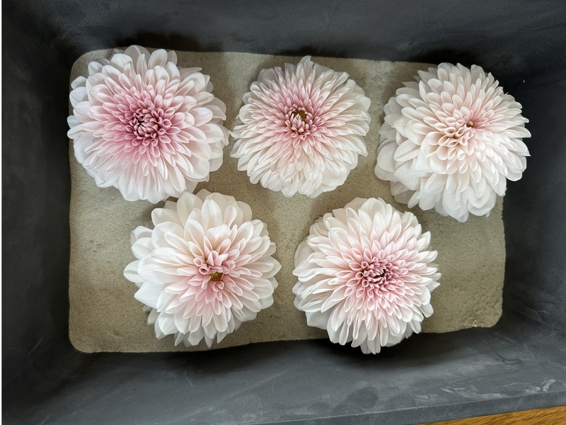 フローラレジンテーブルの製作風景