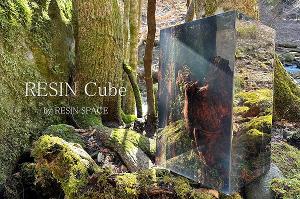 resin cube