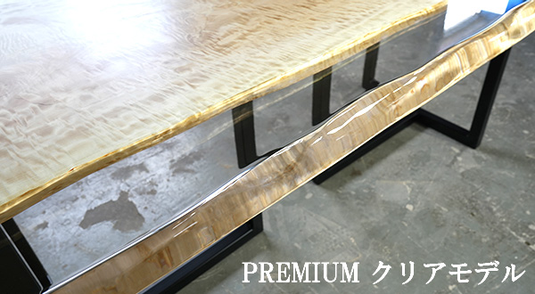 PREMIUMクリアレジンモデル