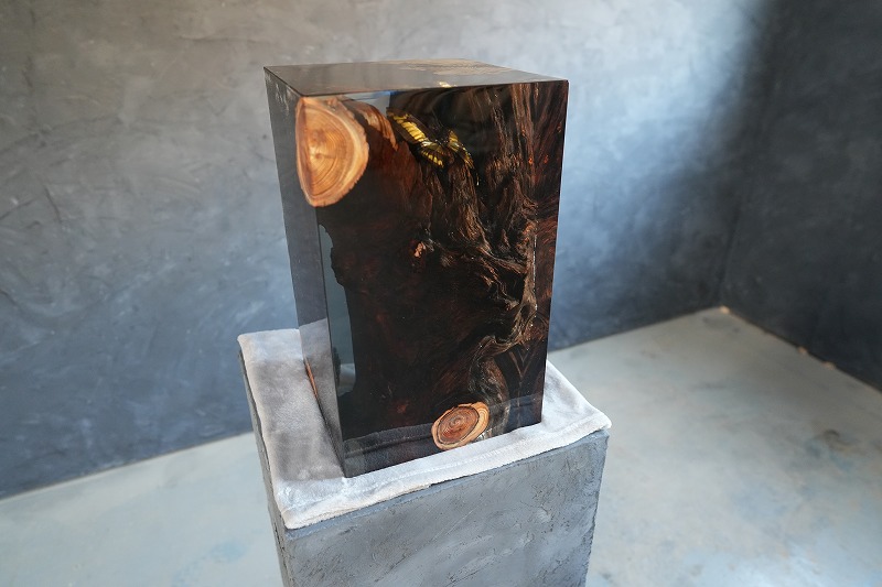 【東京都港区】RESIN Cube×蝶