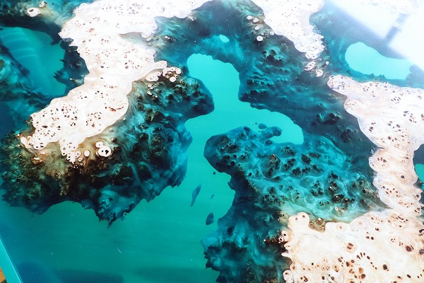 【静岡県別荘地】ポプラ×simodaクリアブルー レジンテーブル