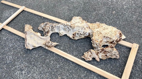 レジンテーブル