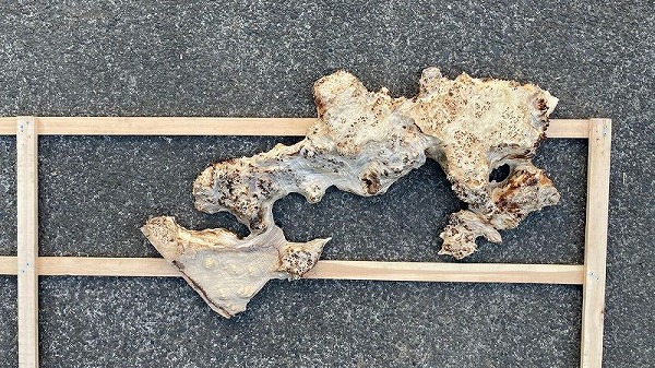 レジンテーブル