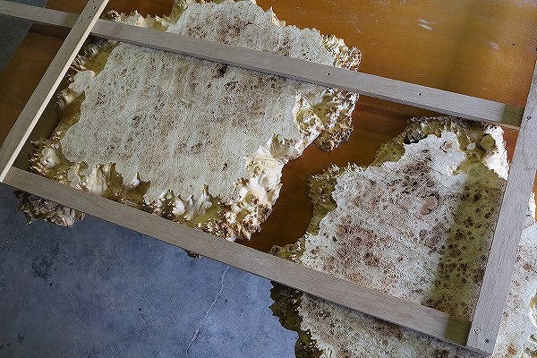 レジンテーブル 倉庫