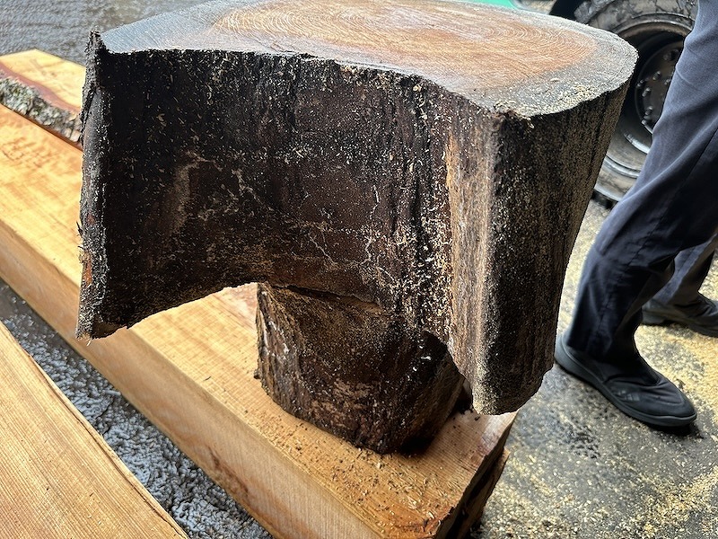 レジンテーブルの木材