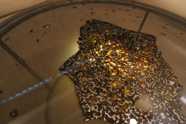 【東京都大田区】隕石（本物）レジンテーブル