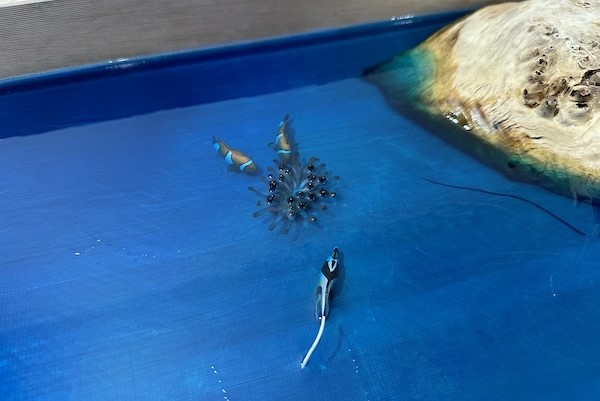 レジンアート 海