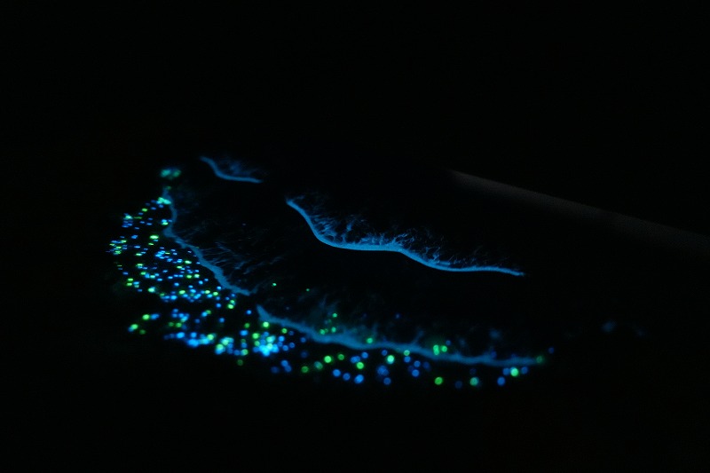 【岐阜県】ポプラ×Oceanレジンテーブル